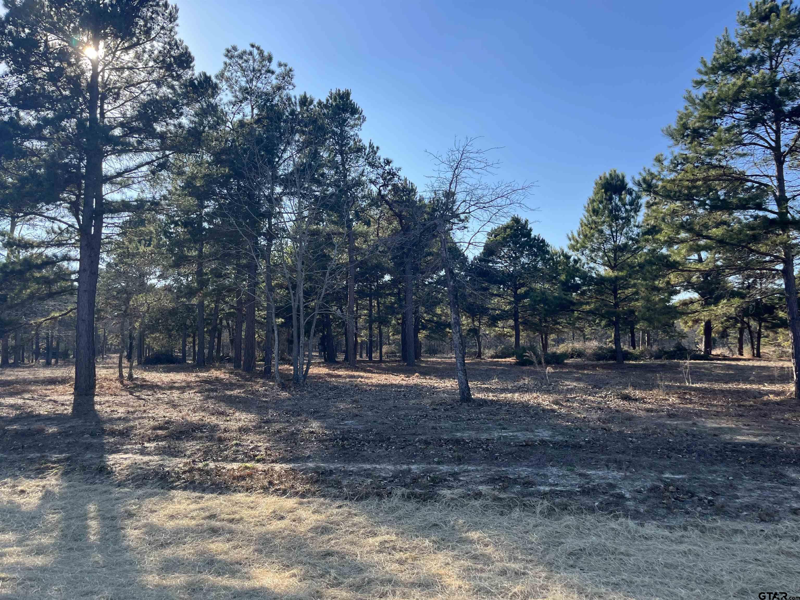 3135 Shadow Pine Drive