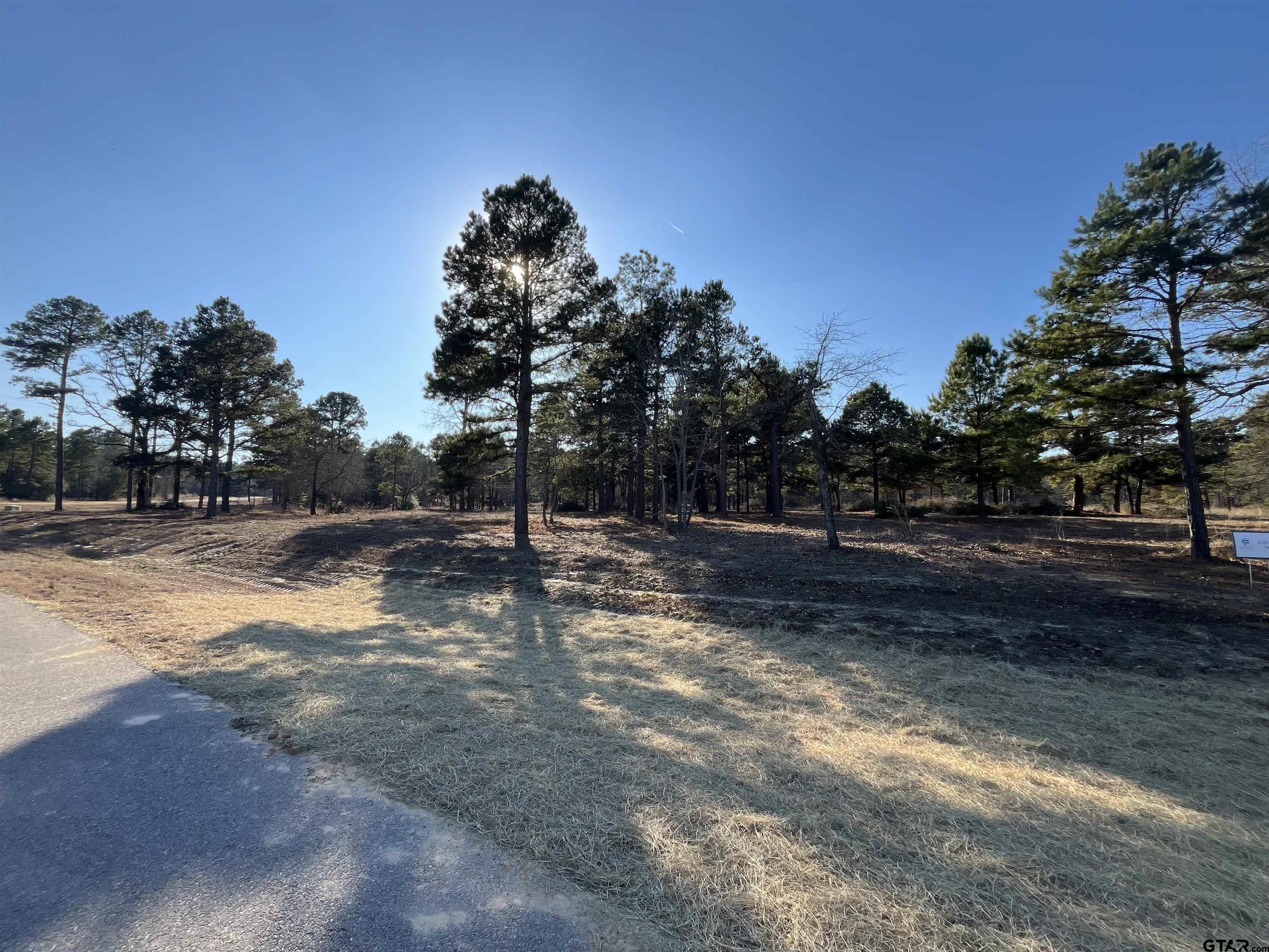 3135 Shadow Pine Drive