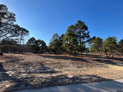 3135 Shadow Pine Drive LaRue TX 75770