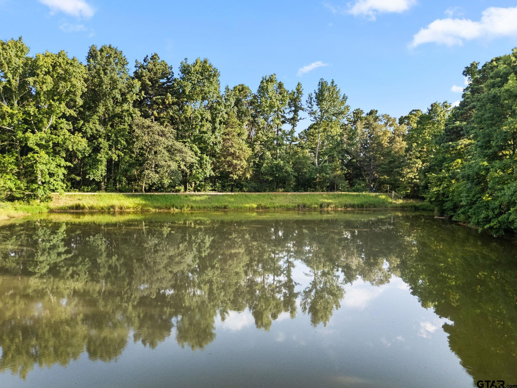 10401 County Road 1141 (Negem Rd)