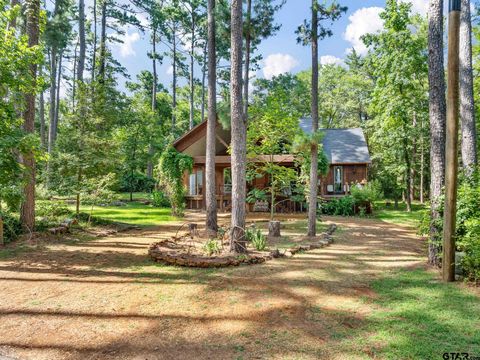 196 Pine Branch Glen Holly Lake Ranch TX 75765