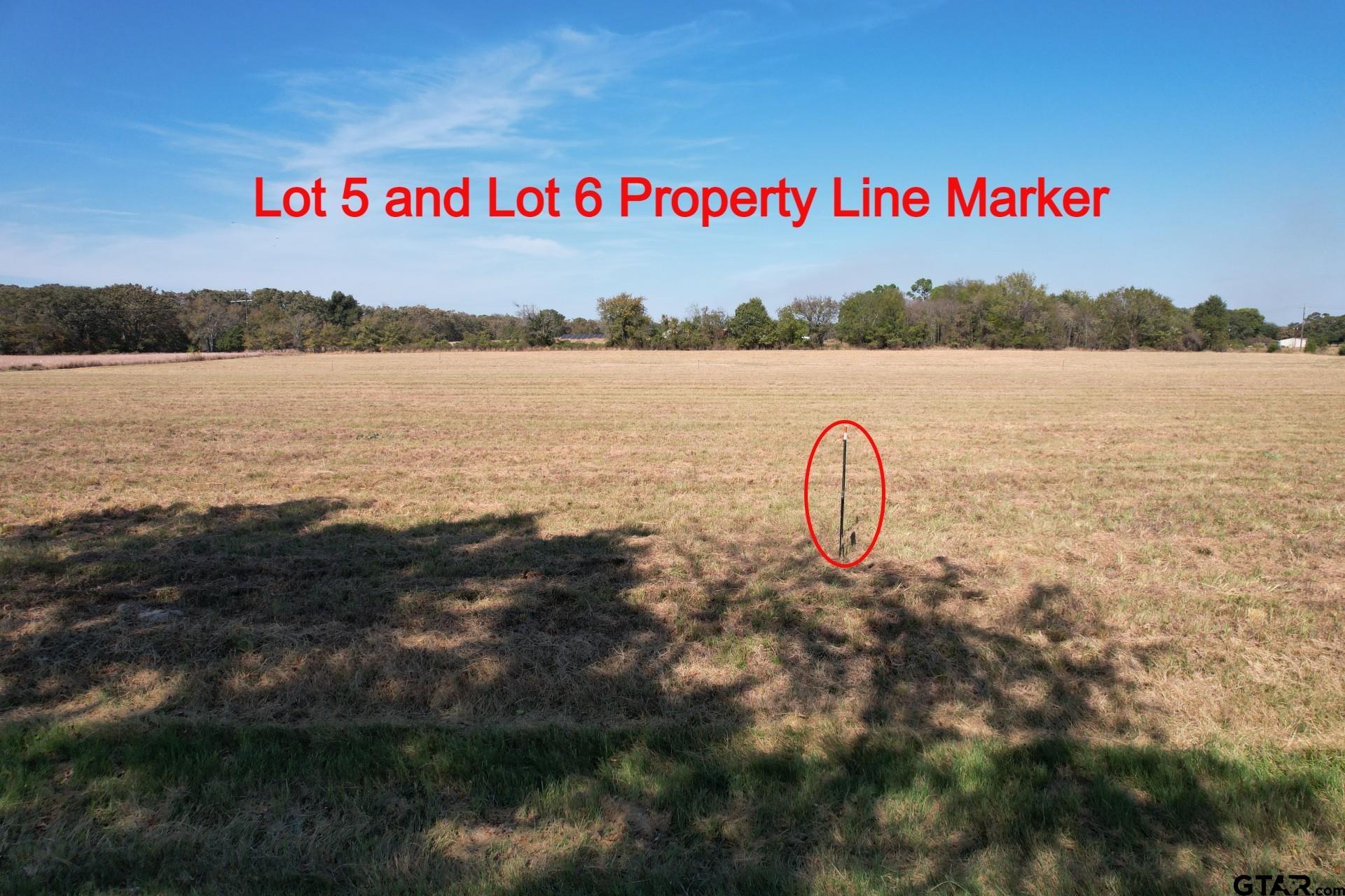 Lot 6 RS County Road 3150
