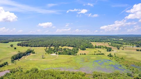 12250 CR 3513 Brownsboro TX 75756