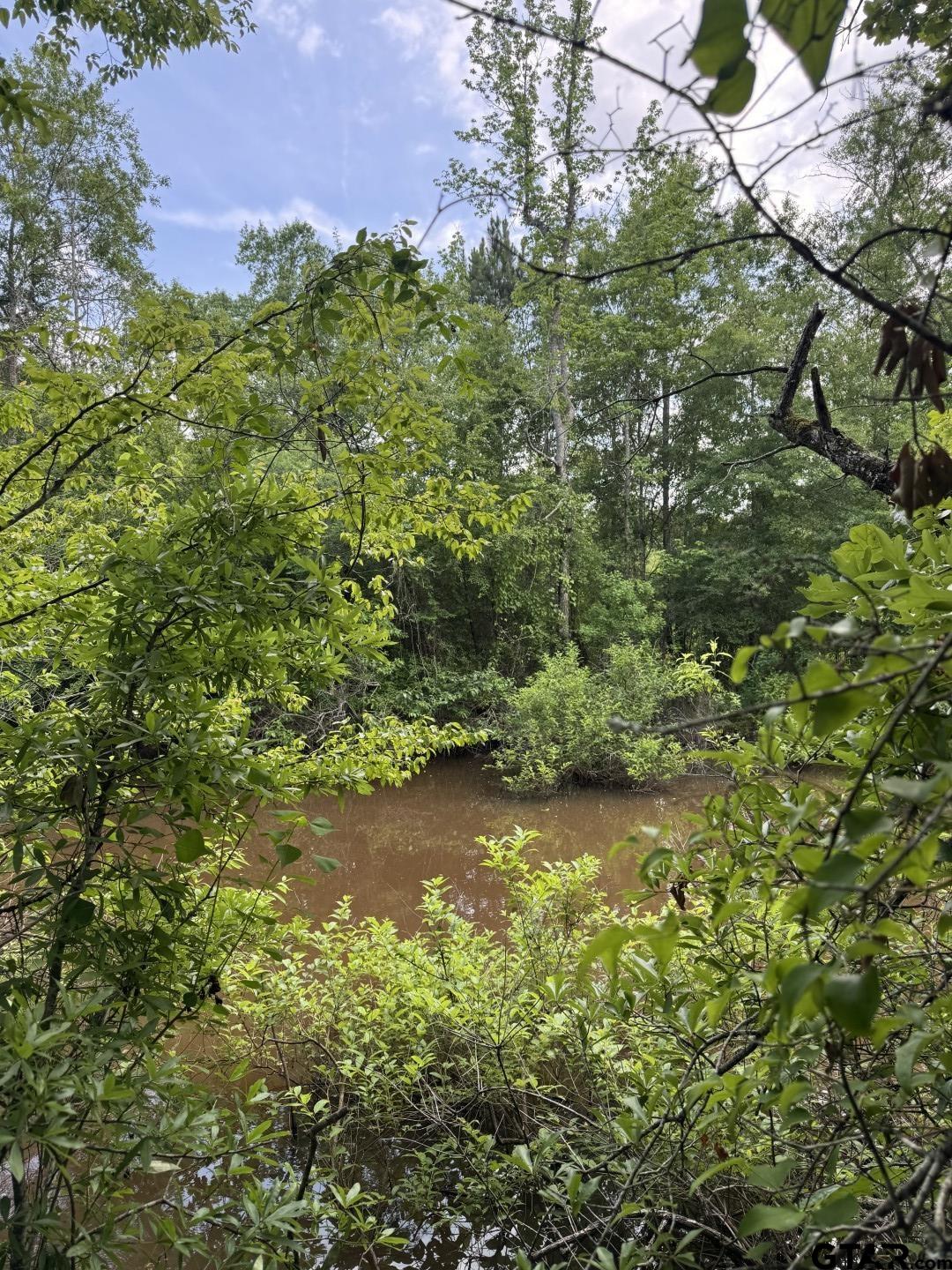 TBD Hwy 259