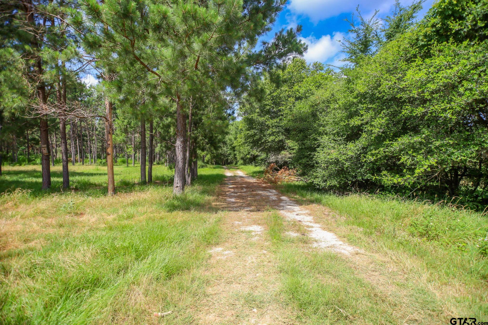 1950 Buckhorn Creek Drive
