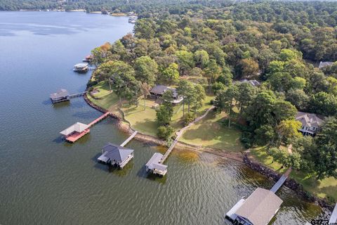 18004 Lookout Valley Flint TX 75762