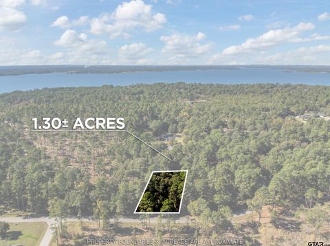 0 Pintail Flint TX 75762