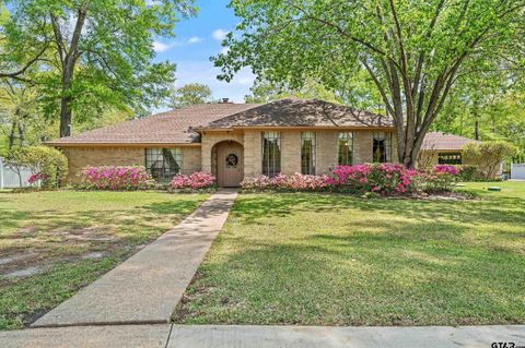 18843 Falls Creek Flint TX 75762