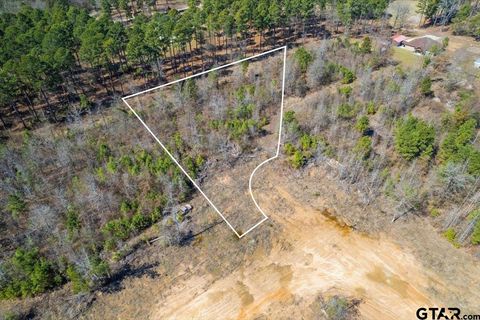 Lot 3 Piney Ln. Pittsburg TX 75686