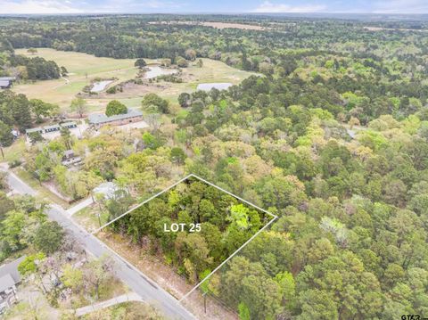 lot 25 ACR 319 Frankston TX 75763