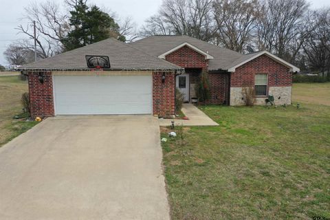 28 cr 3101 Pittsburg TX 75686
