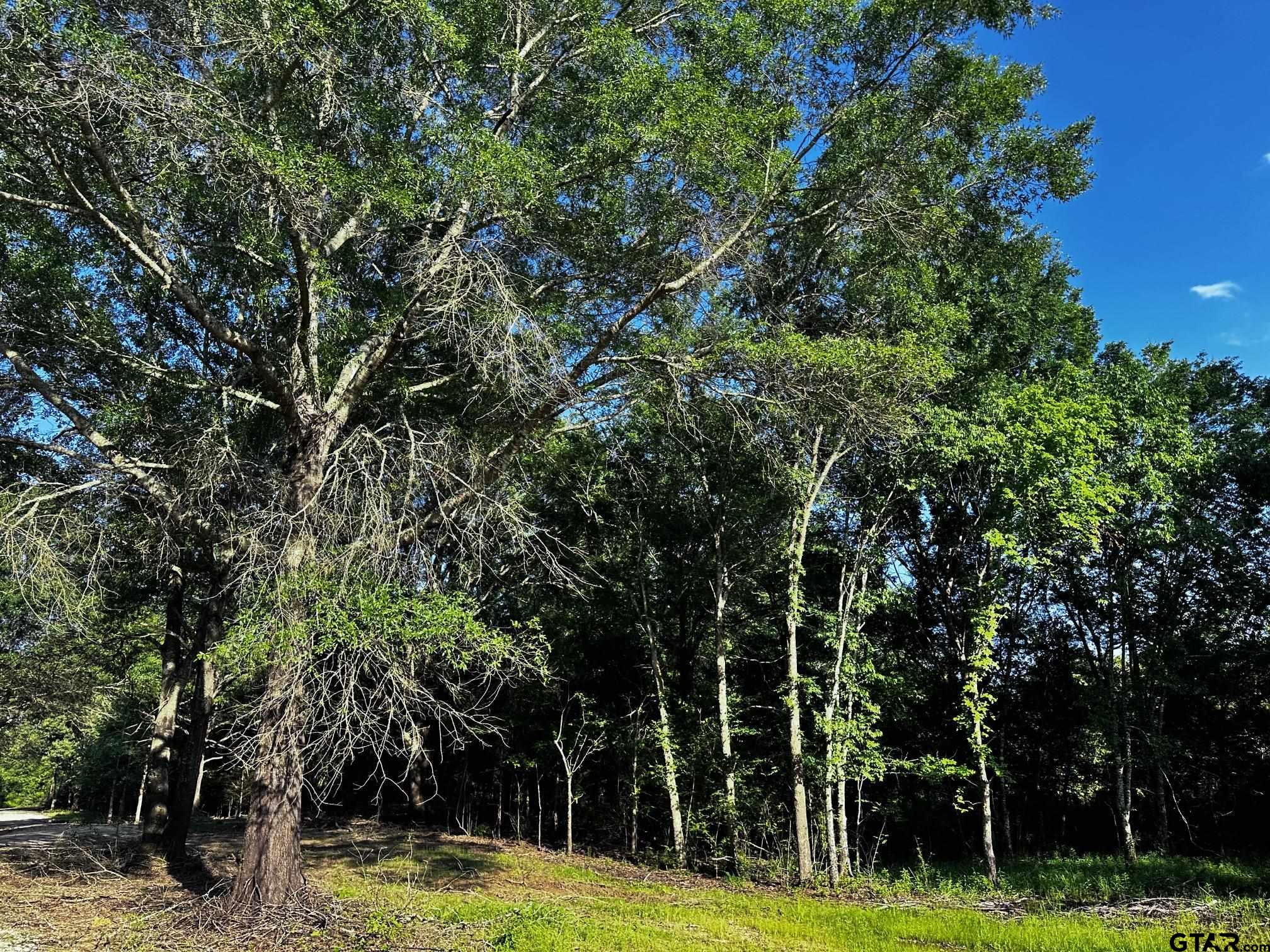 TRACT G/ 261 PRIVATE ROAD 8506