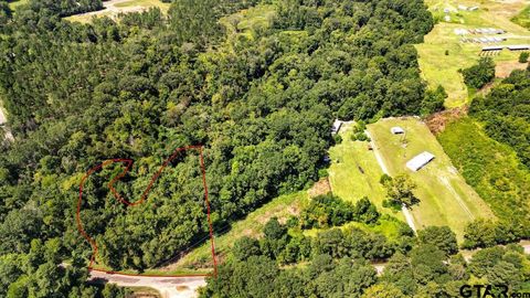 TBD CR 201 Carthage TX 75633