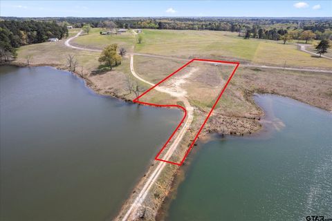 248 PR 3399 Big Sandy TX 75755