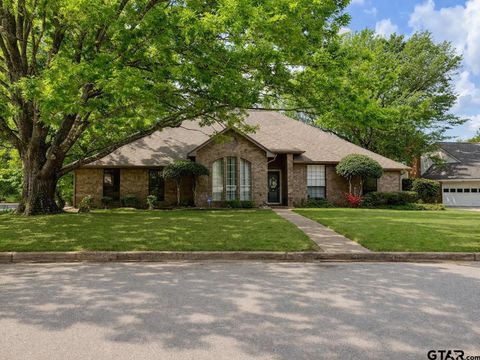 237 LAKESIDE PLACE Mineola TX 75773