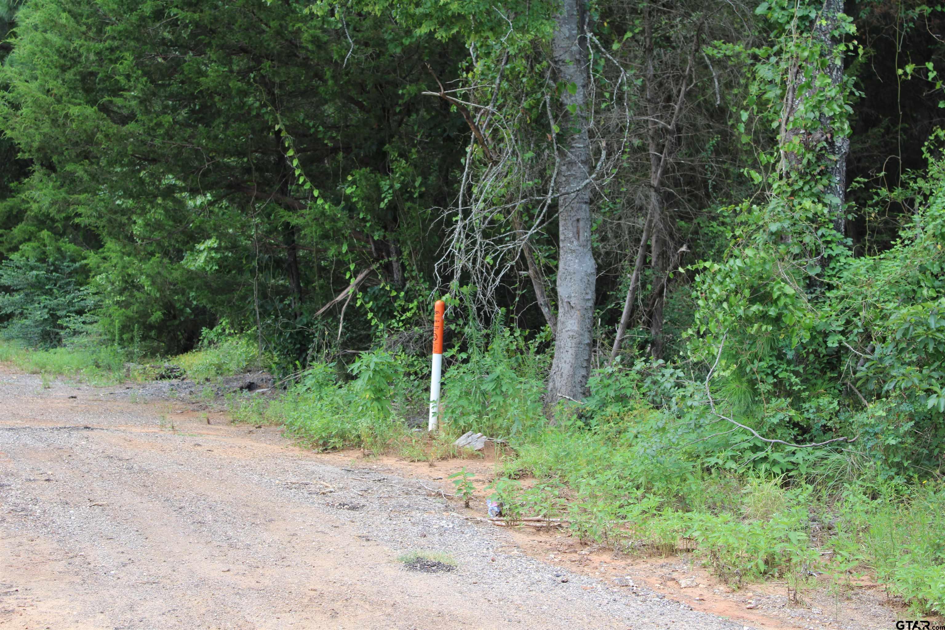 TBD Loop 456 -14.73 acres