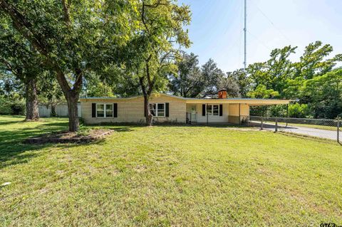 13060 CR 285 Tyler TX 75707