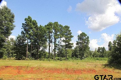 900 Stone Chimney Rd. (Lot 20 CR 3608) Bullard TX 75757