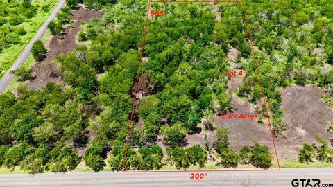 Lot 4 FM 1979 Martindale TX 78655