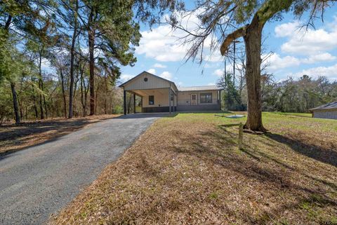 20847 Lakeview Dr Flint TX 75762