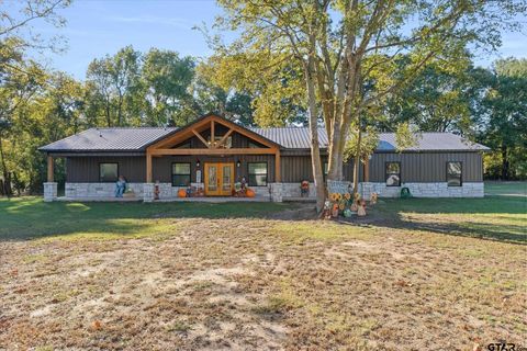 250 VZ County Road 4301 Ben Wheeler TX 75754