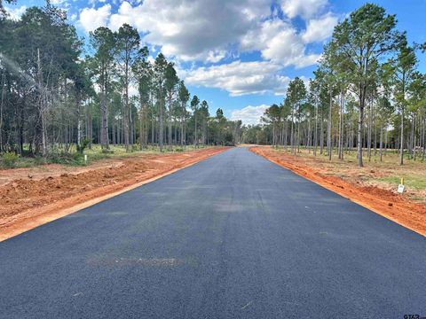 Lot 86 Oak River Frankston TX 75763