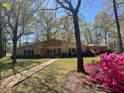 111 CR 1133 Daingerfield TX 75638