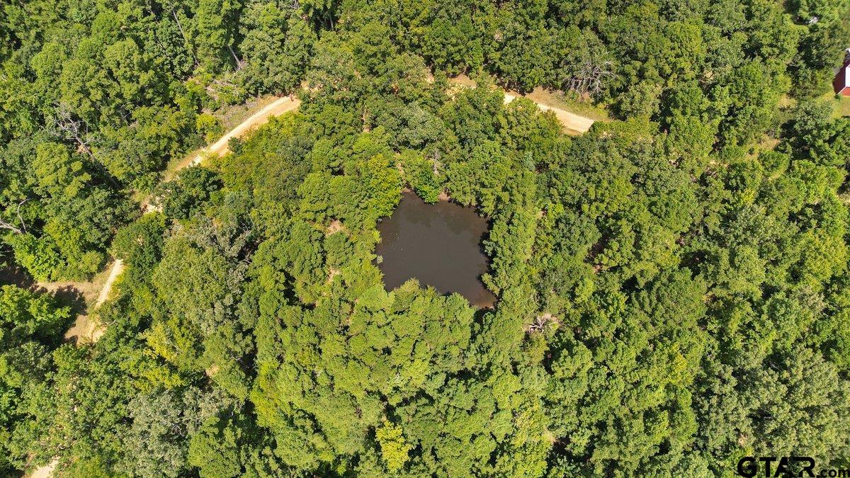 21430 County Road 2182