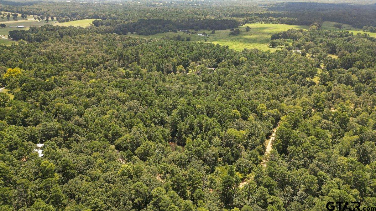 21430 County Road 2182