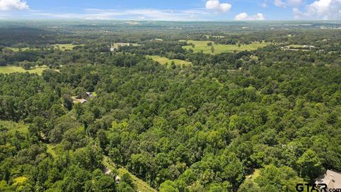 21430 County Road 2182 Whitehouse TX 75791