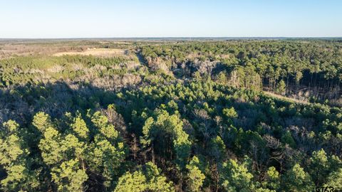North Tract Hwy 64 Ben Wheeler TX 75754