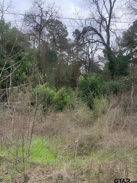 22781 Dogwood Trail Flint TX 75762