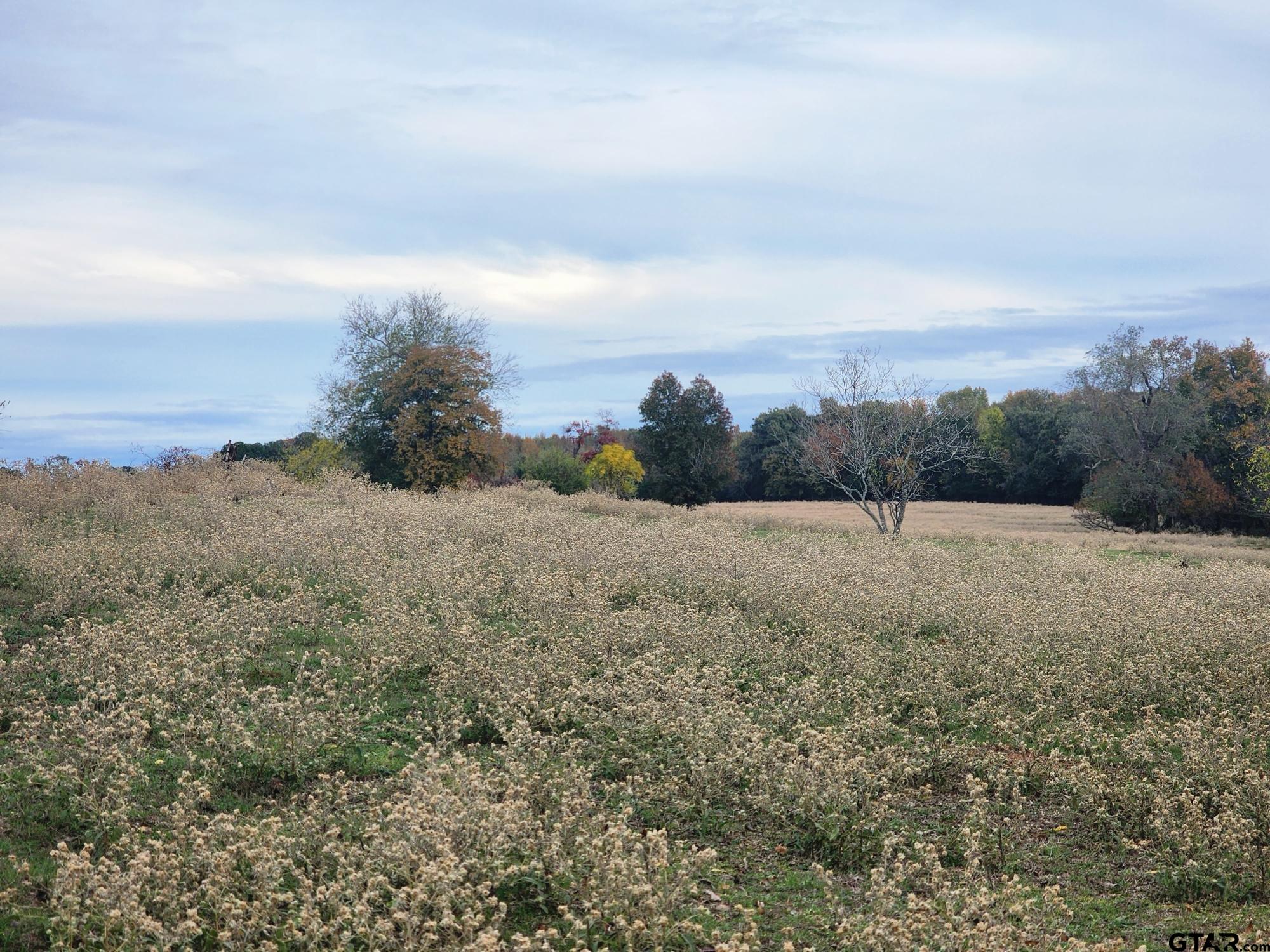 000 County Road 4919