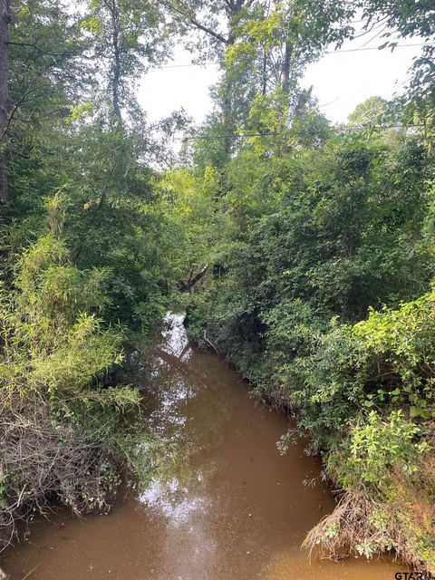 TBD FM 16 Winona TX 75792