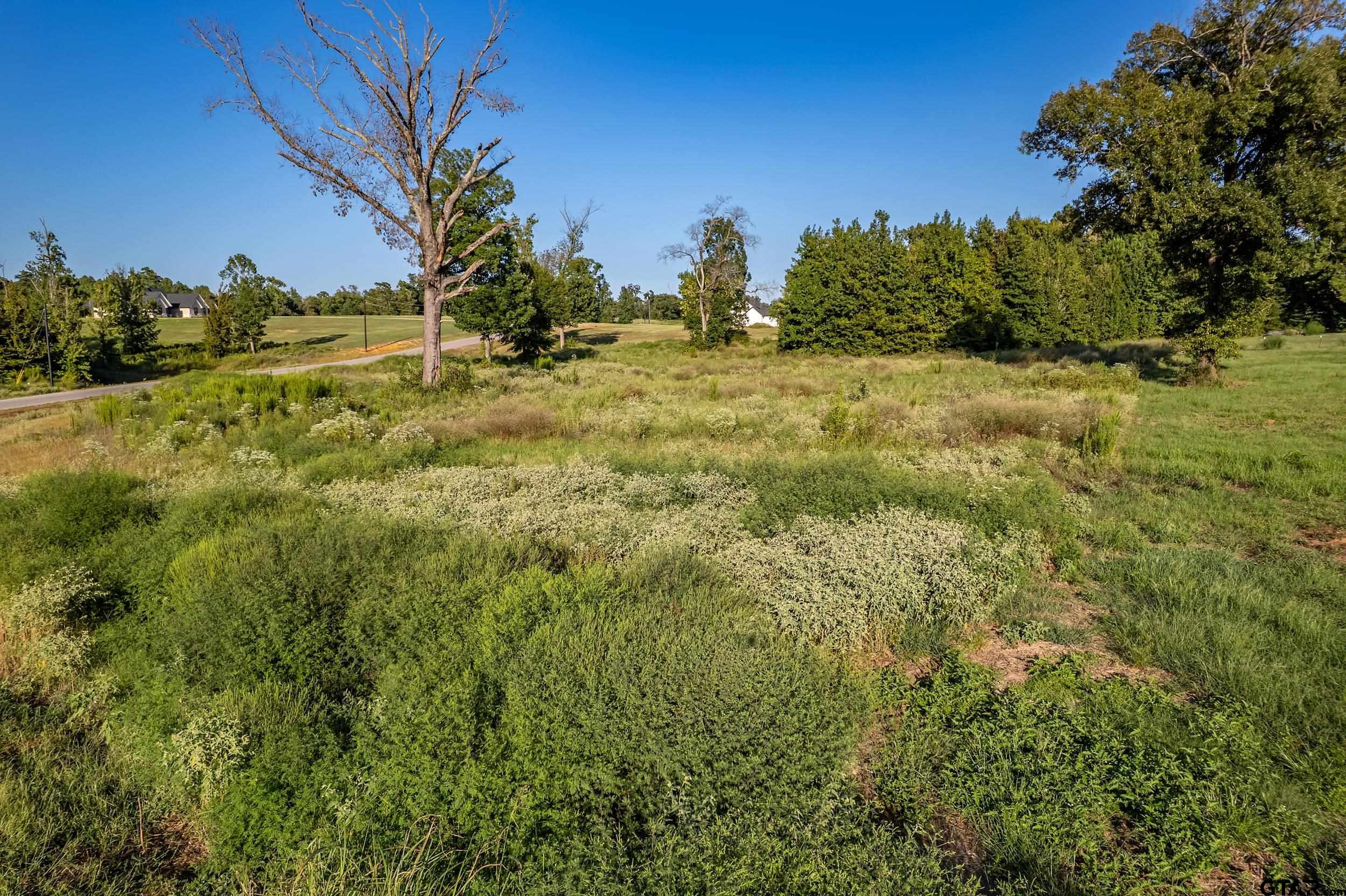 16534 Ridgeline Loop Lot 108