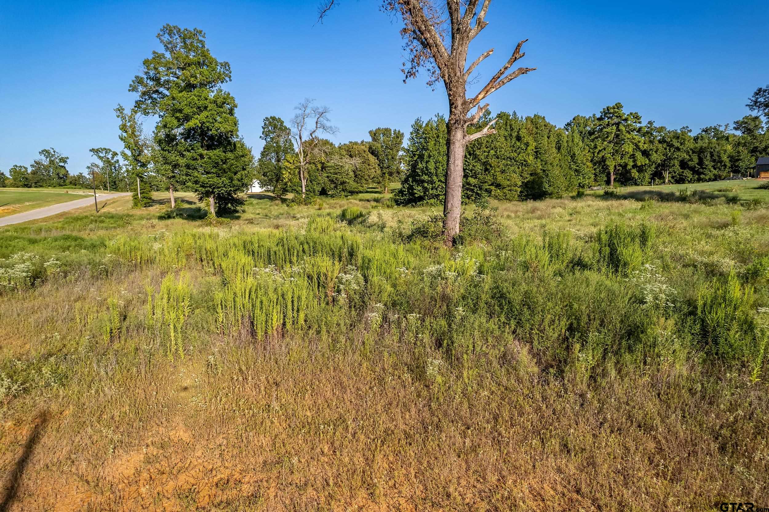 16534 Ridgeline Loop Lot 108