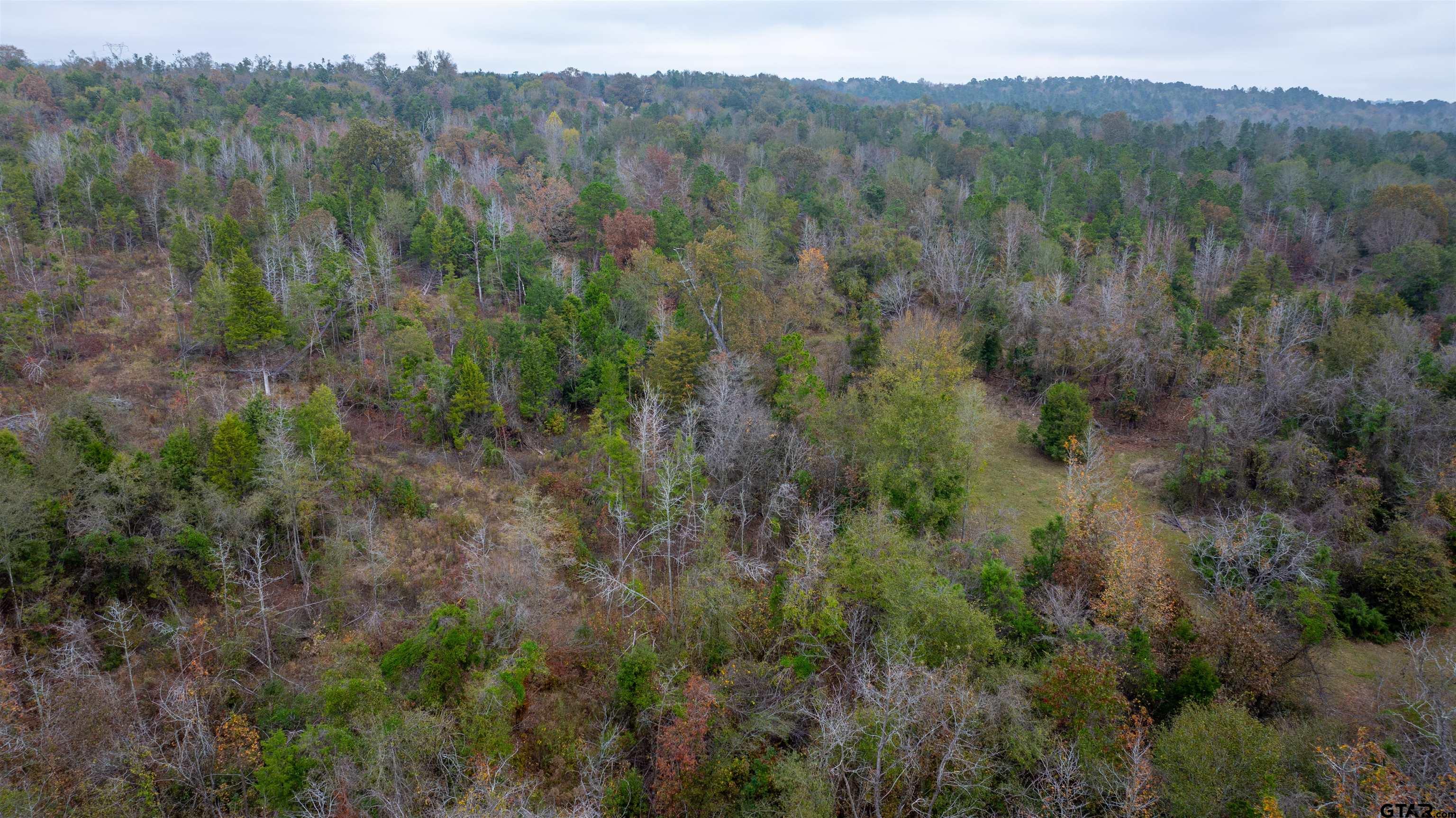 000 County Road 3272