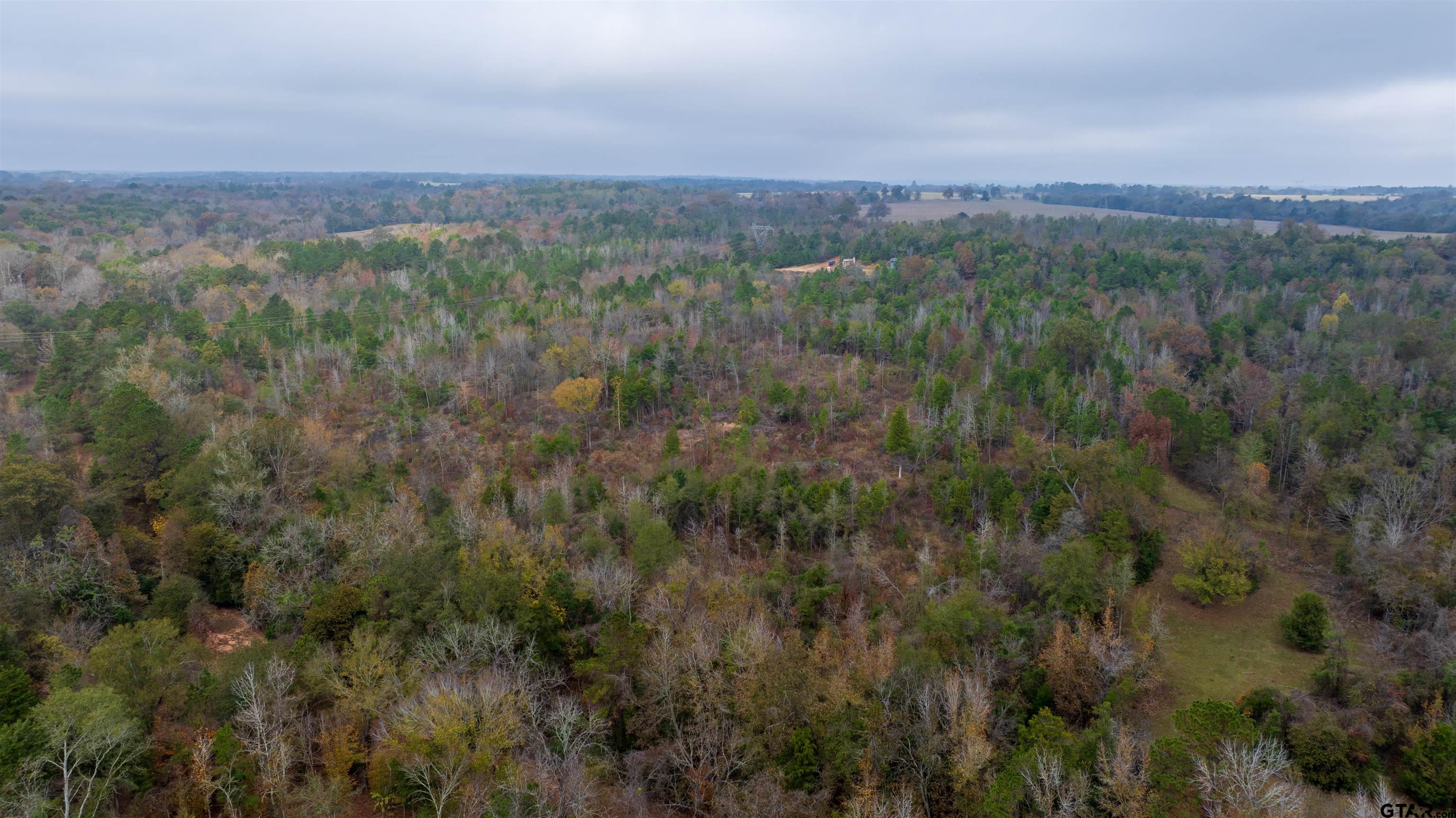 000 County Road 3272