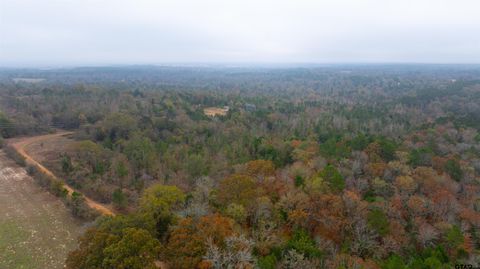 000 County Road 3272 Frankston TX 75763