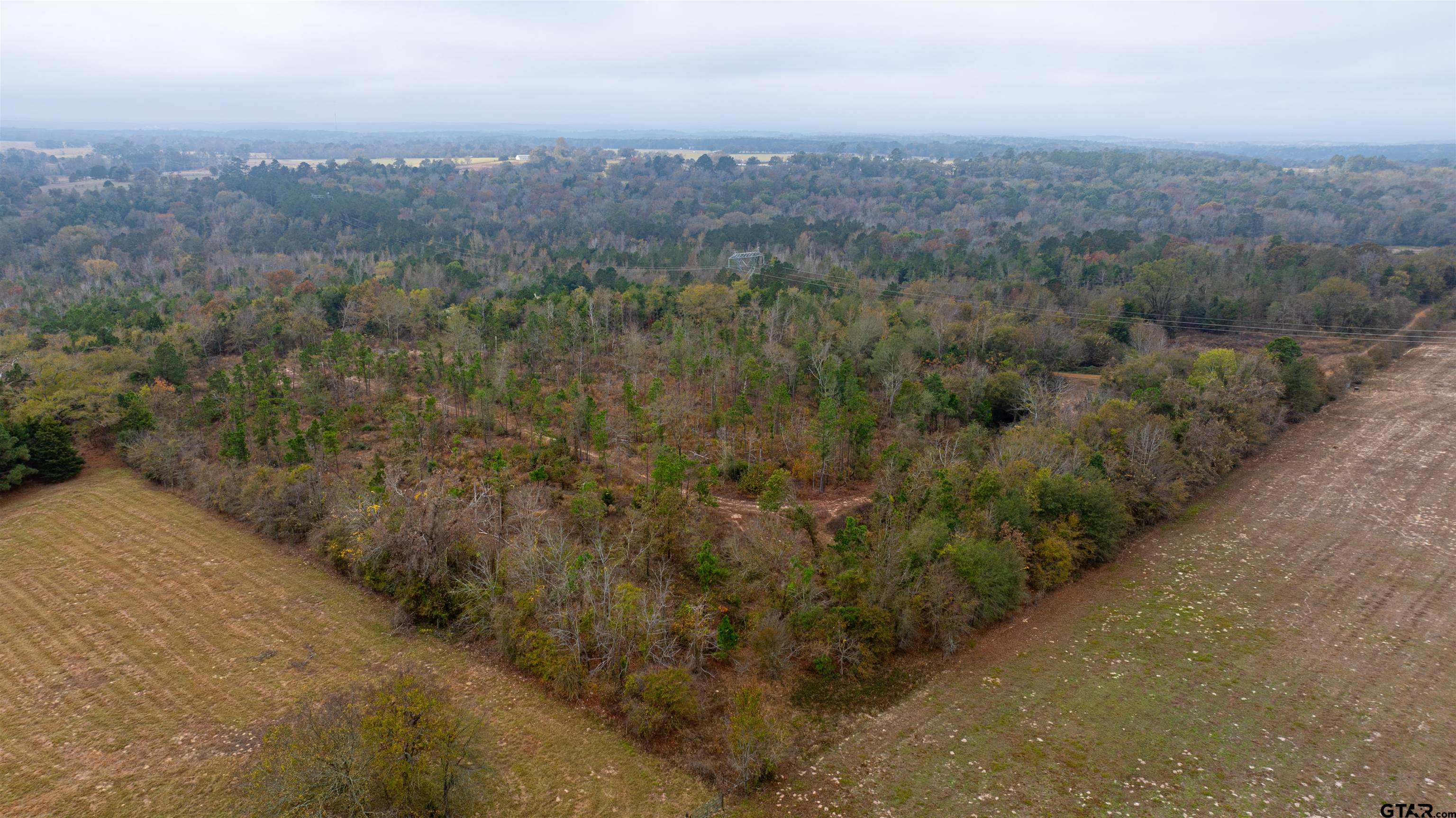 000 County Road 3272