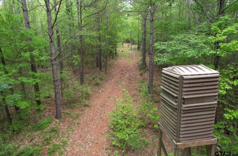 TBD CR 120C San Augustine TX 75972