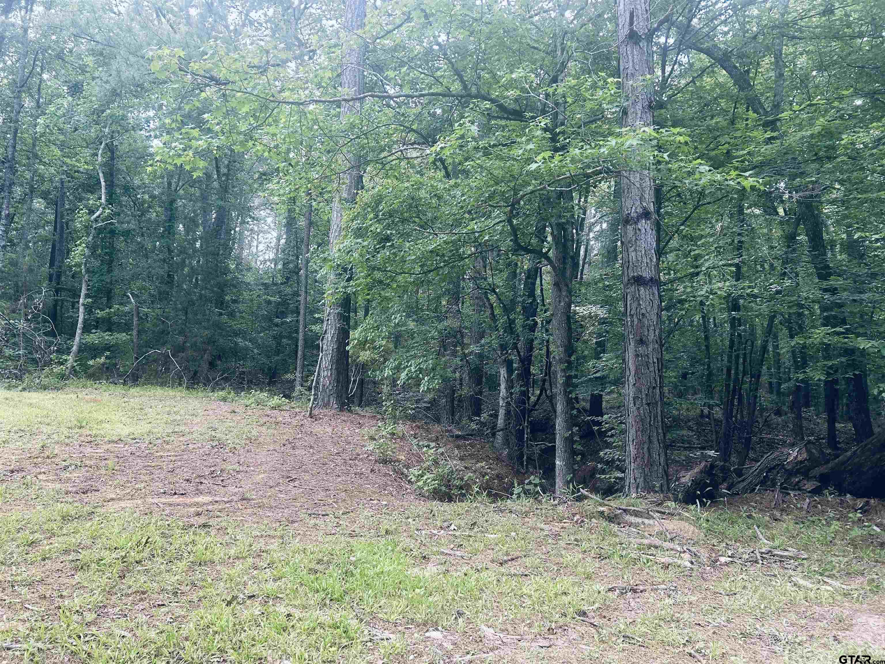 Troup, Texas 75789, United States, ,Land,Active,140775