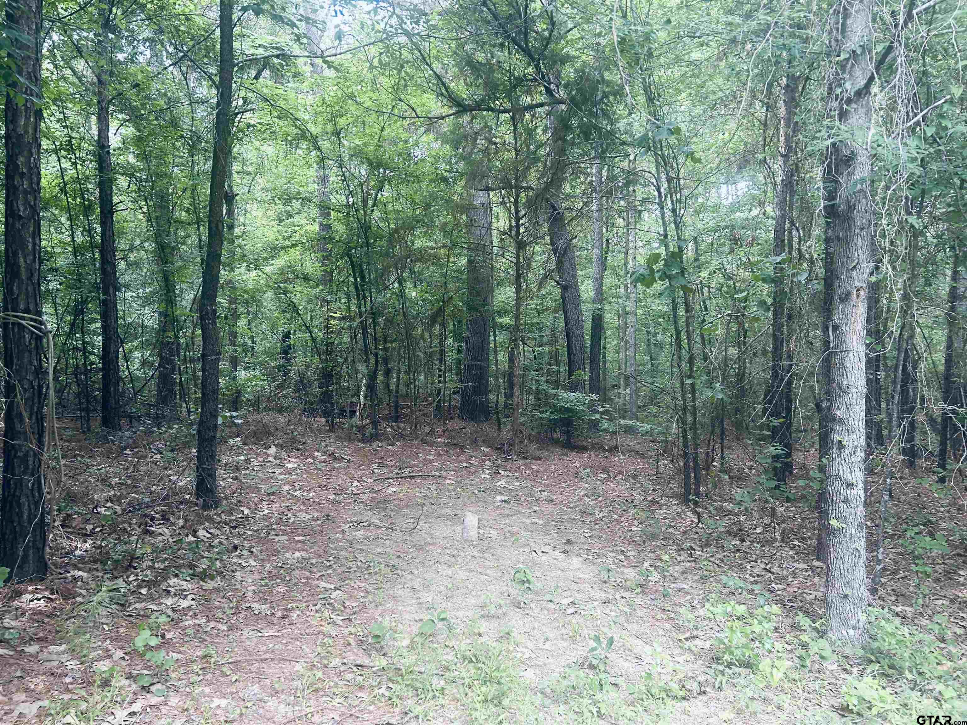 Troup, Texas 75789, United States, ,Land,Active,140775