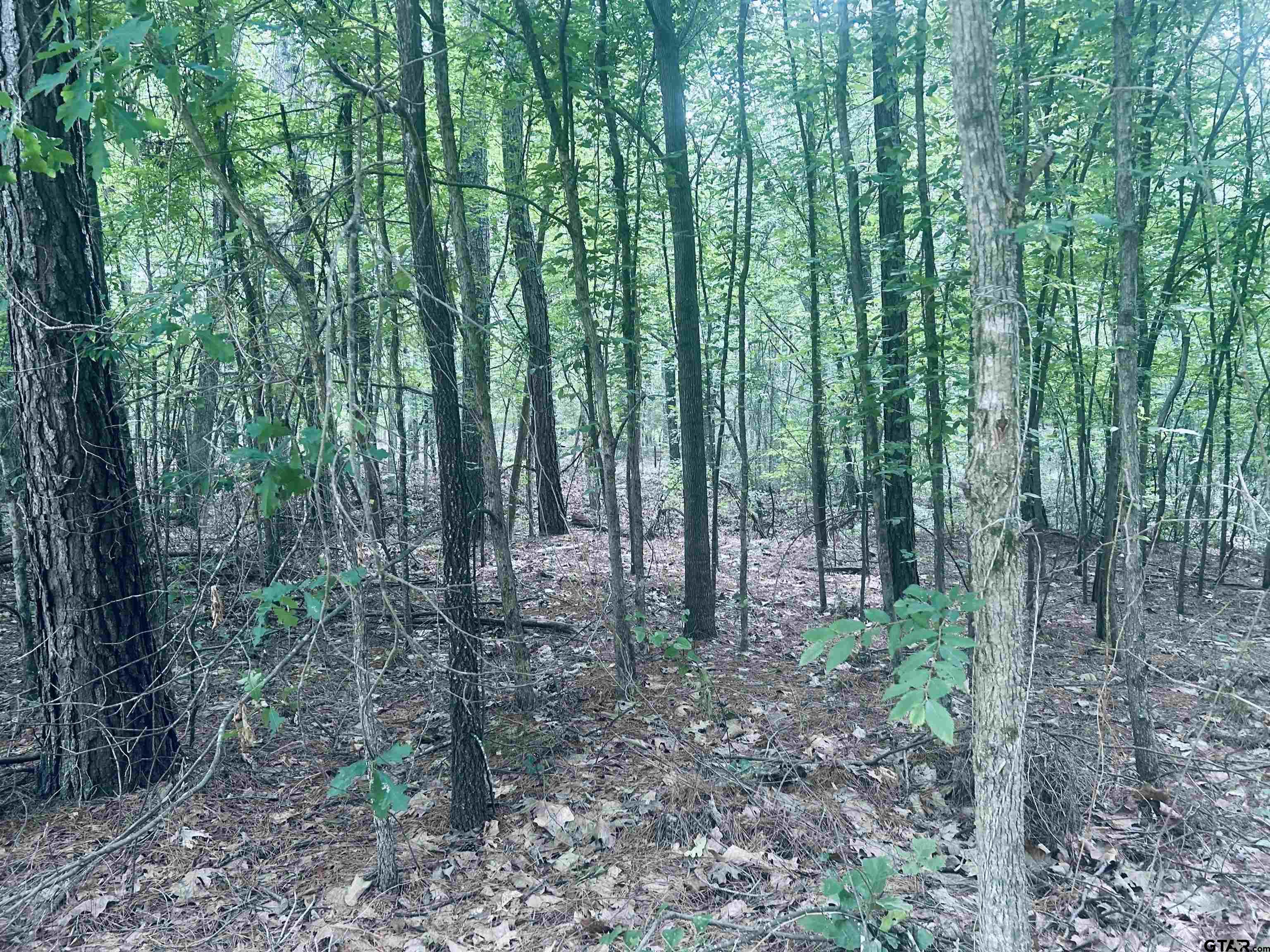 Troup, Texas 75789, United States, ,Land,Active,140775