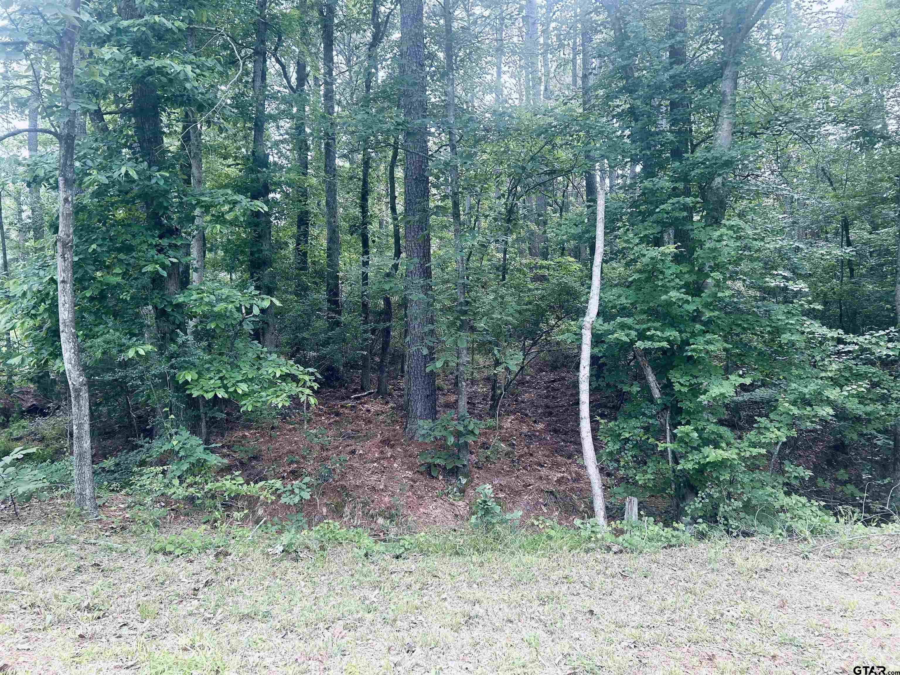 Troup, Texas 75789, United States, ,Land,Active,140775