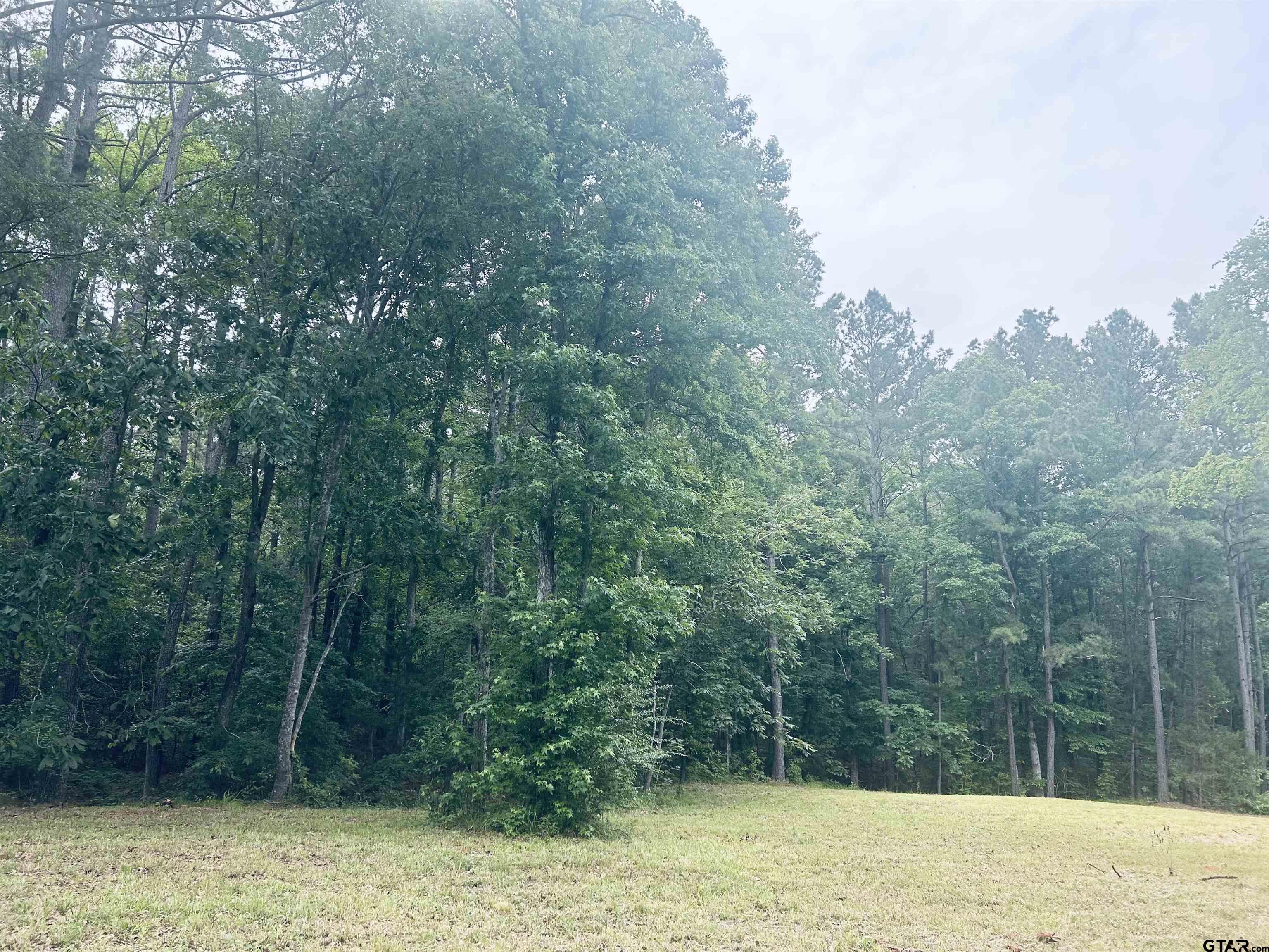 Troup, Texas 75789, United States, ,Land,Active,140775