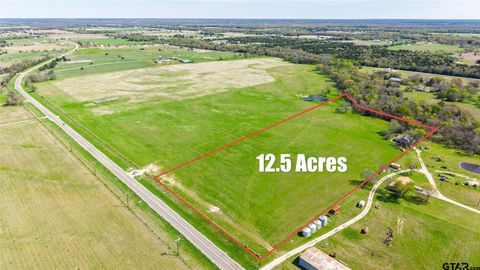 12 Acres FM 2649 Lone Oak TX 75453