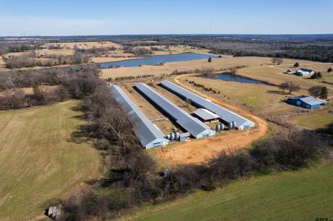 7905 SW CR 3170 Winnsboro TX 75494