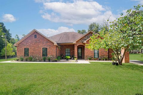 10660 State Highway 154 E Diana TX 75640