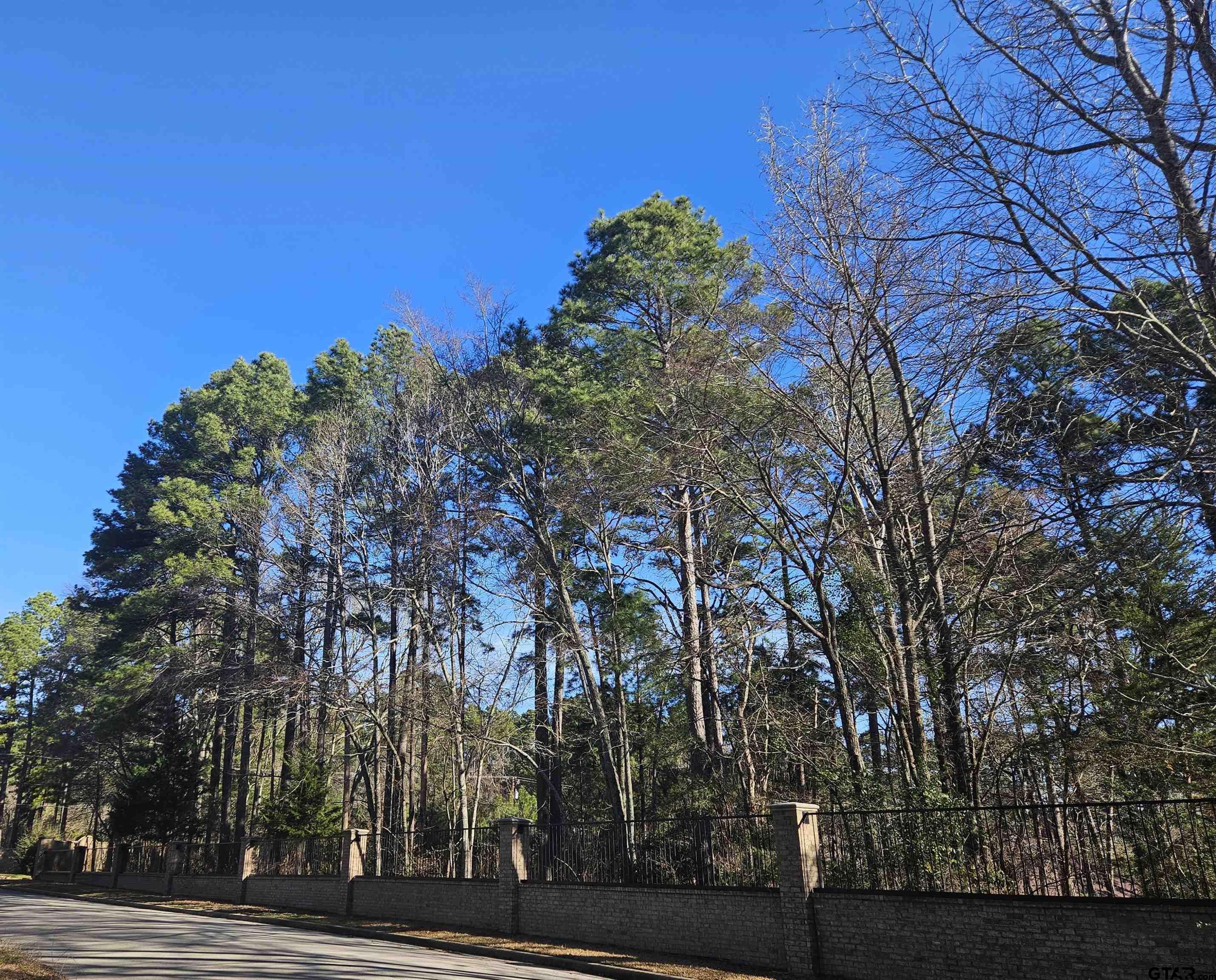 13311 White Tail Drive